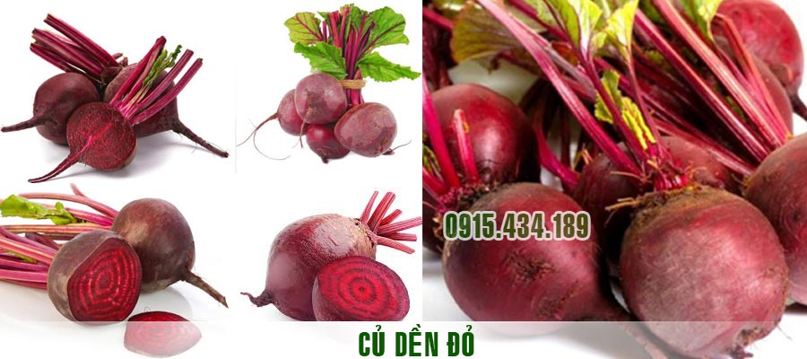 CỦ dền đỏ tự nhiên